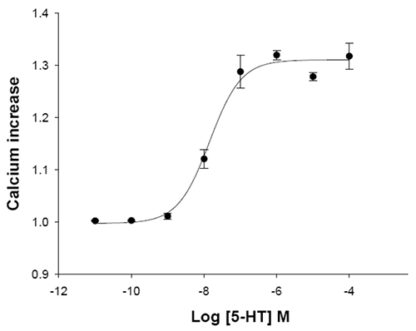 5-HT2A Serotonin Receptor Cell Line