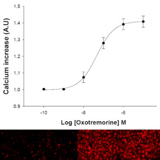 U2OS Cells stably expressing M5 Muscarinic Receptor and Diacylglycerol Biosensor