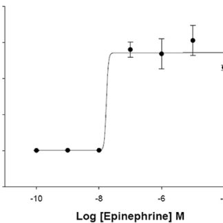 alpha1A Adrenergic Receptor Cell Line