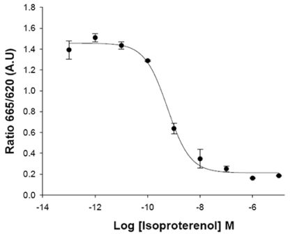 beta-3 adrenergic receptor Cell Line