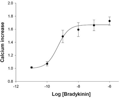 Bradykinin receptor B2 Cell Line