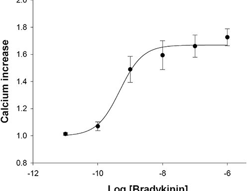 Bradikinin Receptor B2 Cell Line