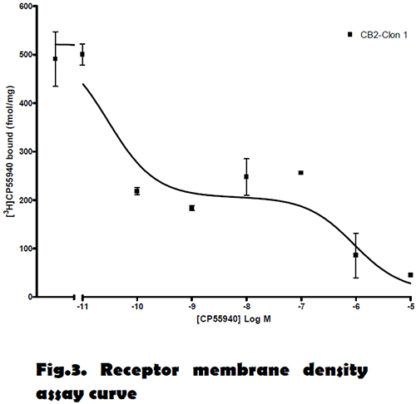 CB2 Cannabinoid Receptor Cell Line