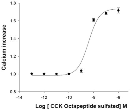 Cholecystokinin B receptor Cell Line