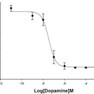 D1 Dopamine Receptor Cell Line