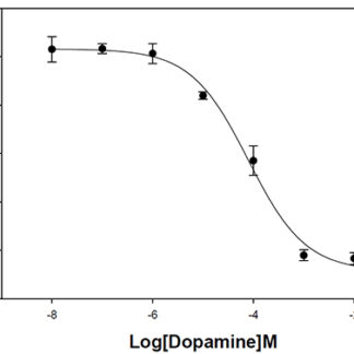 D5 Dopamine Receptor Cell Line