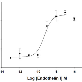 Endothelin Receptor Cell Line