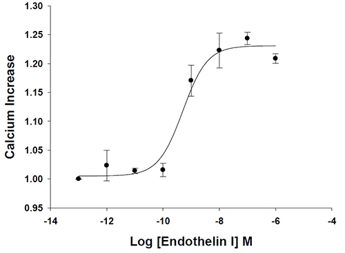 Endothelin Receptor Type A stable cell line