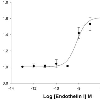 ETB Endothelin Receptor Cell Line