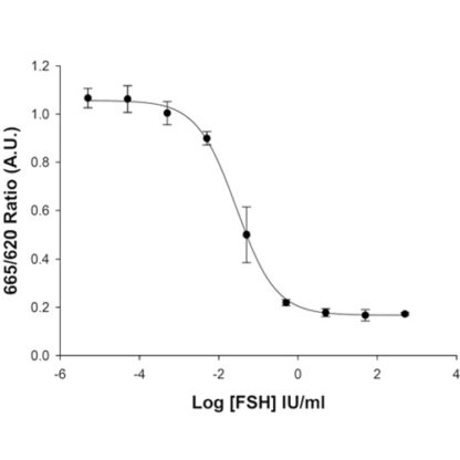 FSH Receptor Cell Line