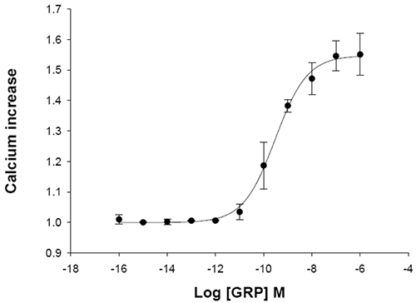 BB2 Bombesin Receptor Cell Line