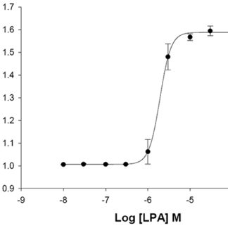 LPA3 Lysophospholipid Receptor Cell Line