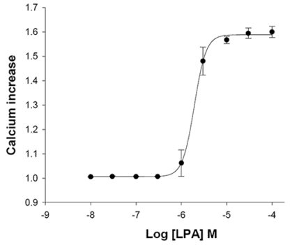 LPA3 Lysophospholipid Receptor Cell Line