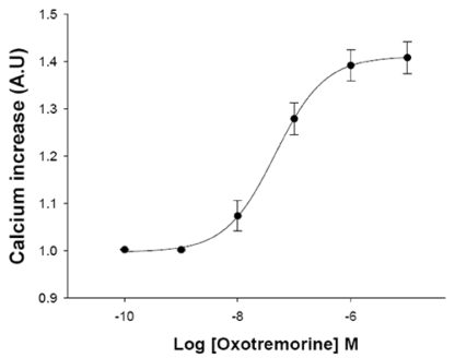 Muscarinic Acetylcholine Receptor M5 Cell Line