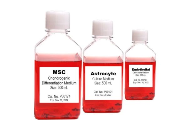 Adipocyte Medium Kit