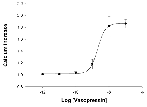 Arginine Vasopressin Receptor 1A stable expressing HEK293 Cell Line