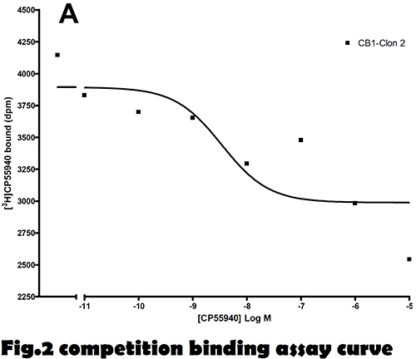 Cannabinoid 1 receptor stable cell line