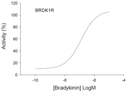 Fluorescent Bradikinin Receptor 1 Internalization Assay Cell Line