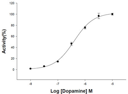 Fluorescent Dopaminergic Receptor D3 Internalization Assay Cell Line