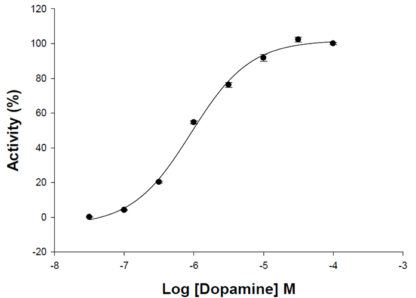 Fluorescent Dopaminergic Receptor D5 Internalization Assay Cell Line