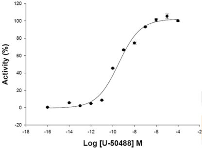 Fluorescent Opioid Receptor, Kappa 1 Internalization Assay Cell Line