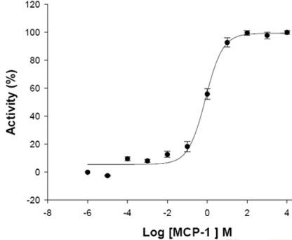 Fluorescent Human Chemokine (C-C motif) receptor 2 (CCR2) complex Internalization Assay Cell Line