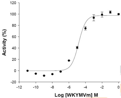 Fluorescent Human Formyl Peptide Receptor 2 Internalization Assay Cell Line