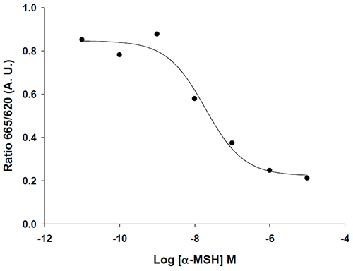 Melanocortin 4 Receptor stable expressing HEK293 cell line