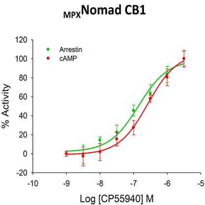 HEK293 cells stably expressing CB1 Cannabinoid Receptor, cAMP biosensor & β-arrestin