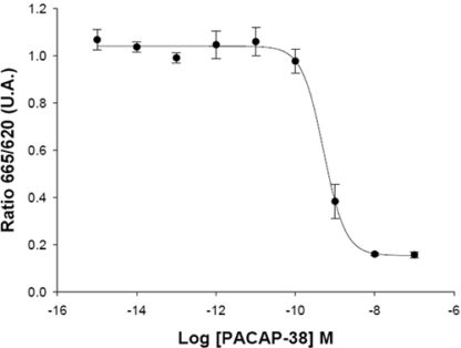 PAC1 Receptor Cell Line