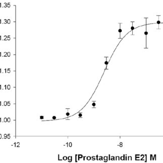 EP1 Prostanoid Receptor Cell Line