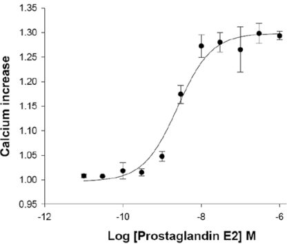 EP1 Prostanoid Receptor Cell Line