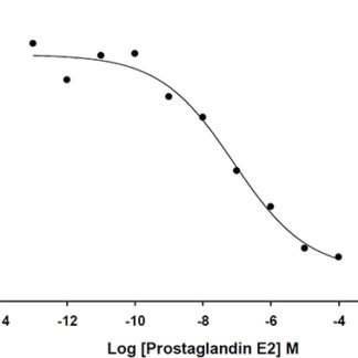 EP2 Prostanoid Receptor Cell Line