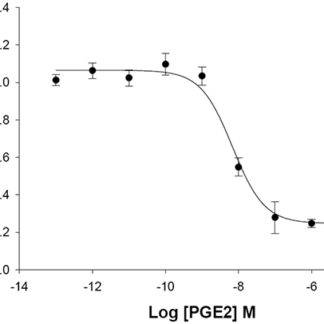 EP4 Prostanoid Receptor Cell Line