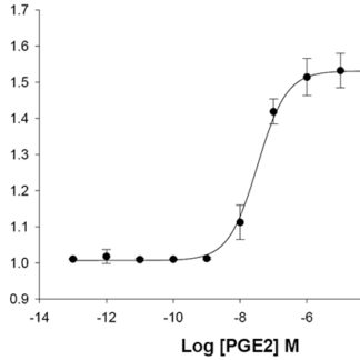 FP Prostanoid Receptor Cell Line