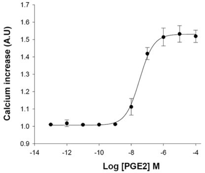 FP Prostanoid Receptor Cell Line