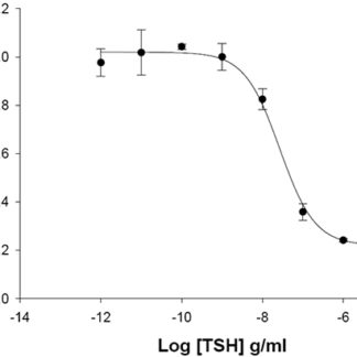 TSH Receptor Cell Line