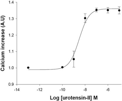 Urotensin Receptor Cell Line