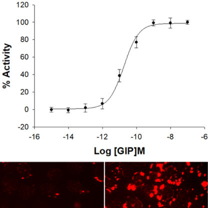 GIPR NOMAD cell line 1