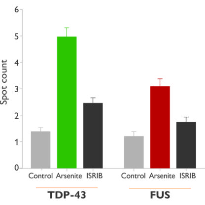 TDP43-FUS cell line