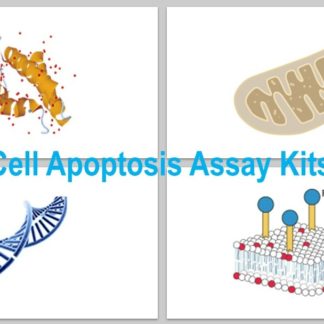Cell Apoptosis Assay Kits