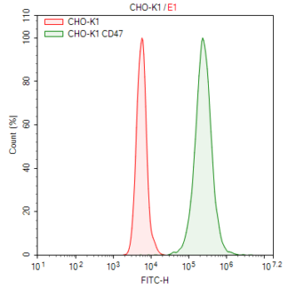 CD47 CHO-K1 cells - M00581