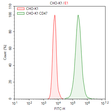 Human CD47 CHO-K1 Cell Line