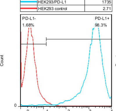 PD-L1 / CD274 HEK293 Cell Line