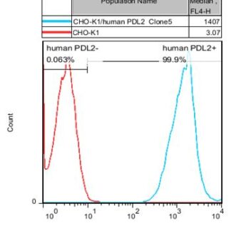 PD-L2 CHO-K1 cells - M00627