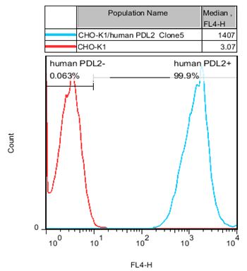 PD-L2 / CD273 CHO-K1 Cell Line