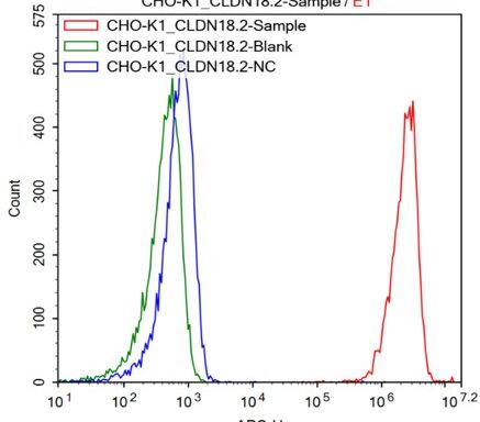 Claudin18.2 (CLDN18.2) CHO-K1 Cell Line