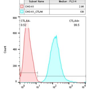 CTLA4 CHO-K1 Cell Line