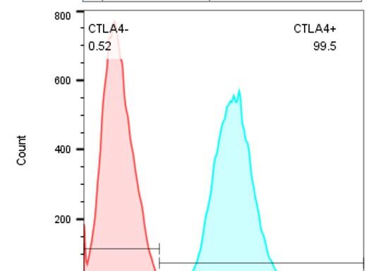 CTLA4/ CD152 CHO-K1 Cell Line