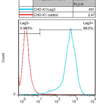 Lag3/ CD223 CHO-K1 Cell Line